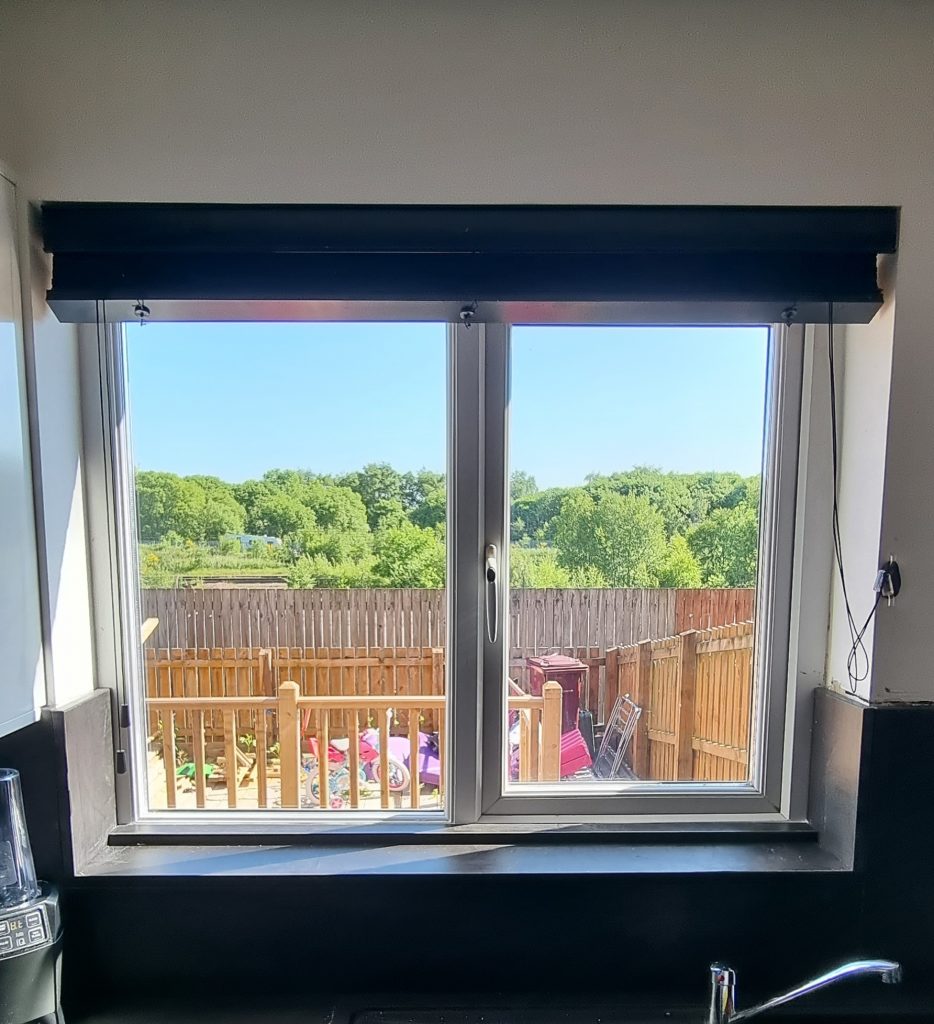 New sealed units in the same window, the garden clear through the glass