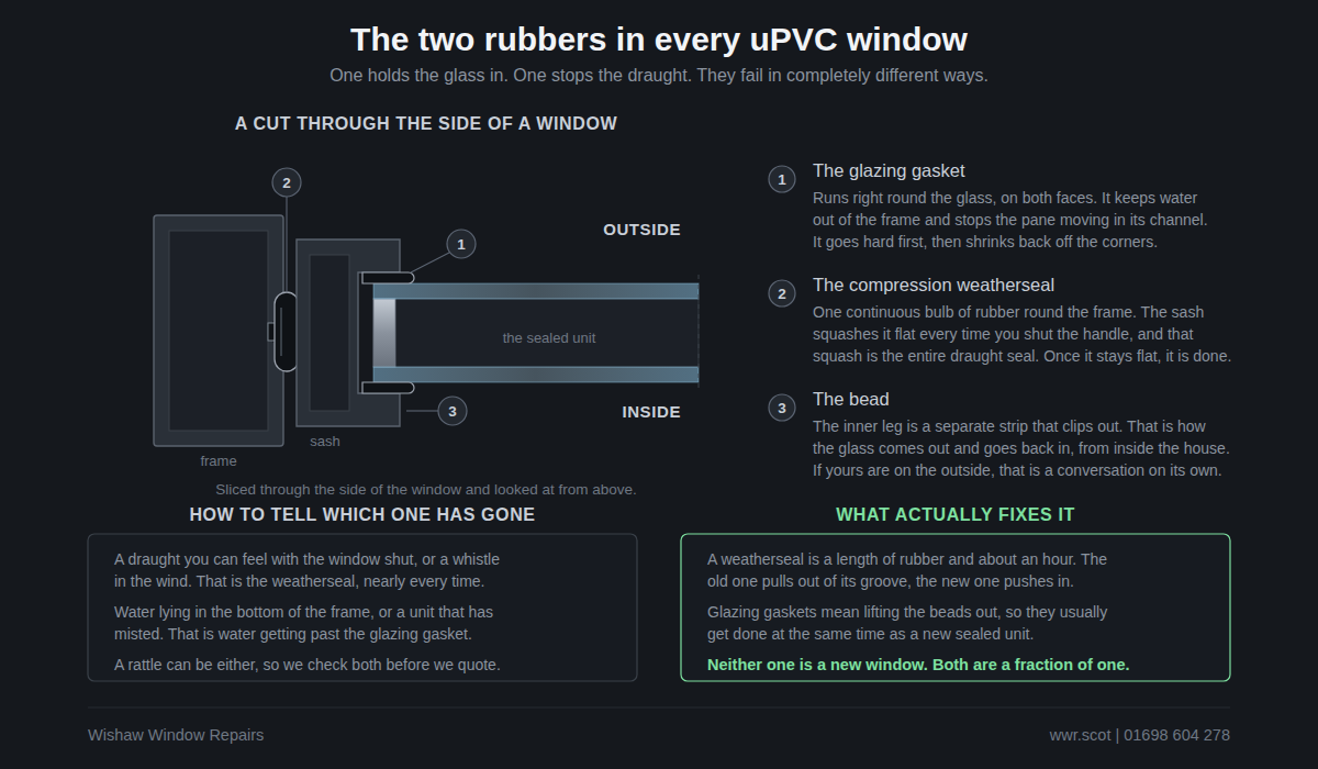 The glazing gasket and the weatherseal in a uPVC window, showing which of the two stops draughts.
